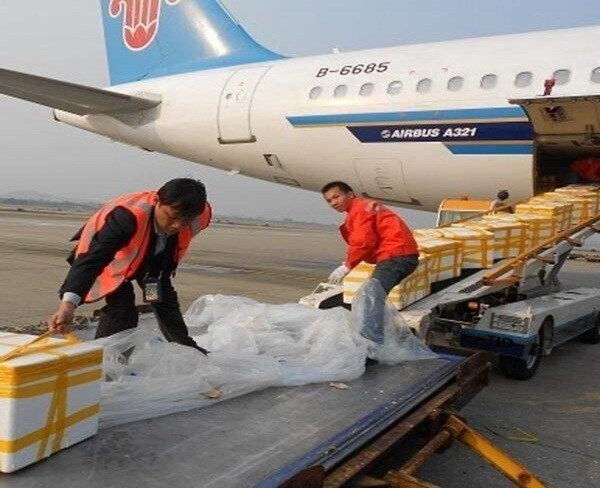 安徽航馳航空貨運(圖)-航空托運公司-重慶航空托運(圖1)